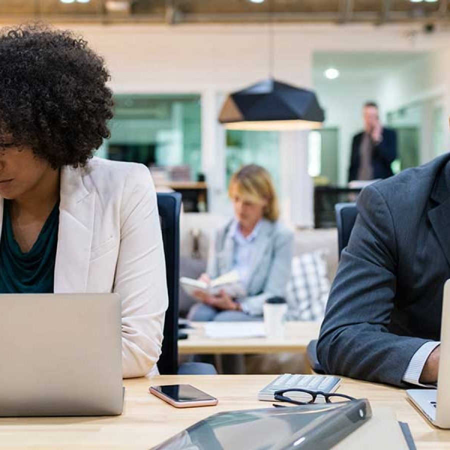 OUR TEAM
